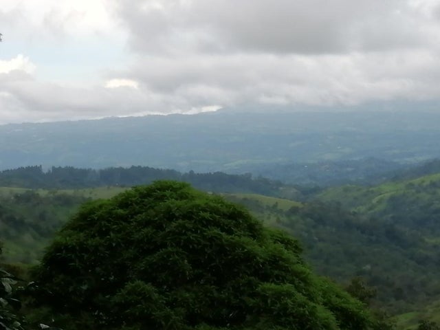 Land for Sale in Santa Clara 093/083 Chiriqui 04051